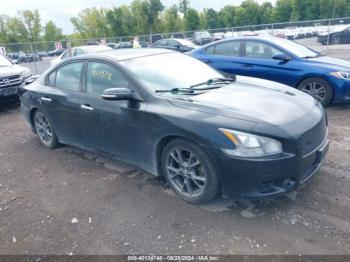  Salvage Nissan Maxima