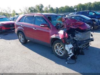  Salvage Kia Sorento