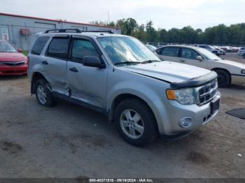  Salvage Ford Escape