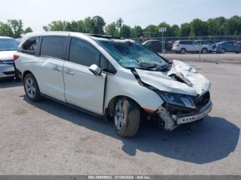  Salvage Honda Odyssey