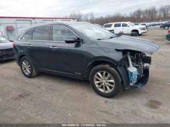  Salvage Kia Sorento