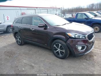  Salvage Kia Sorento