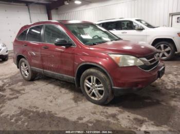  Salvage Honda CR-V