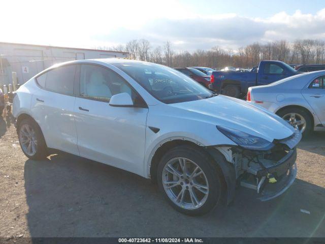  Salvage Tesla Model Y