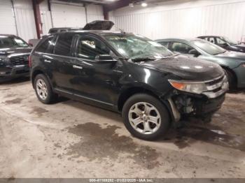  Salvage Ford Edge