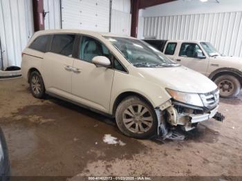  Salvage Honda Odyssey