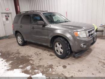  Salvage Ford Escape