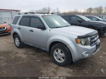  Salvage Ford Escape