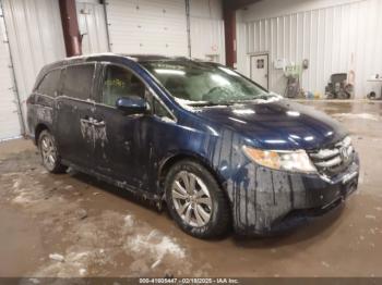  Salvage Honda Odyssey