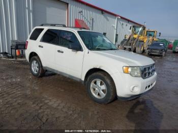  Salvage Ford Escape