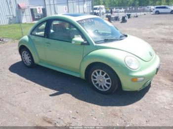  Salvage Volkswagen Beetle