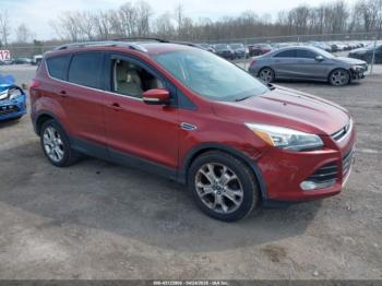  Salvage Ford Escape