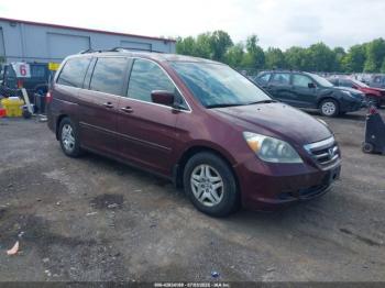  Salvage Honda Odyssey