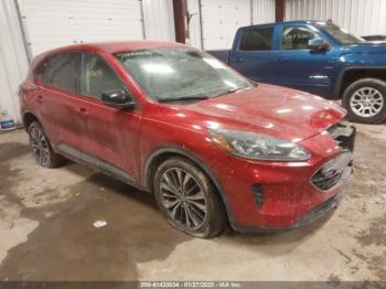  Salvage Ford Escape
