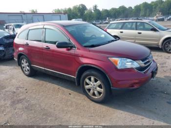  Salvage Honda CR-V