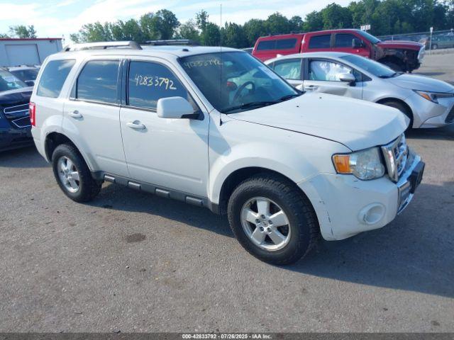  Salvage Ford Escape