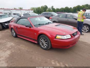  Salvage Ford Mustang