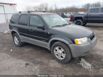  Salvage Ford Escape