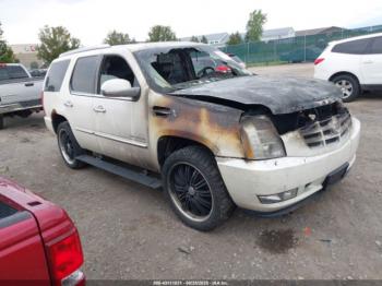  Salvage Cadillac Escalade