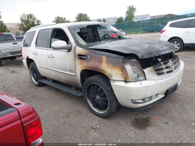  Salvage Cadillac Escalade