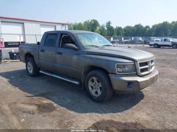  Salvage Ram Dakota