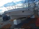 Rinker Other Image 4