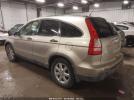 Honda CR-V Ex Image 5