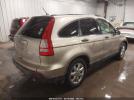 Honda CR-V Ex Image 3