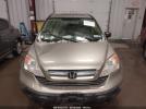 Honda CR-V Ex Image 7