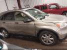 Honda CR-V Ex Image 8