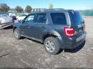 Ford Escape Limited Image 7