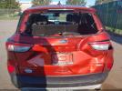 Ford Escape Titanium Image 5