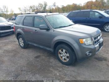  Salvage Ford Escape