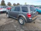 Ford Escape Limited Image 2