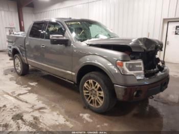  Salvage Ford F-150