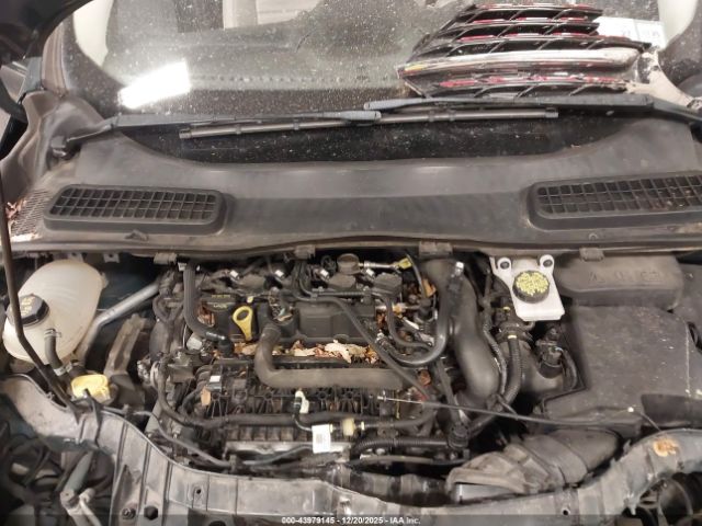 Ford Escape Sel Image 8