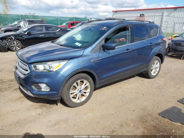 Ford Escape Sel Image 4