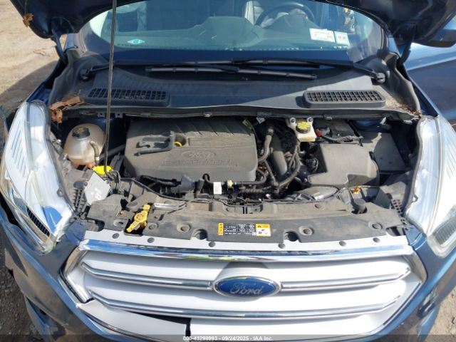 Ford Escape Sel Image 9