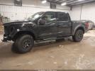 Ford F-150 Raptor Image 8