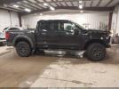 Ford F-150 Raptor Image 5