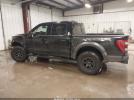 Ford F-150 Raptor Image 4