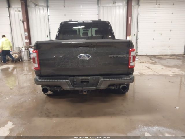 Ford F-150 Raptor Image 19