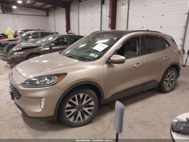 Ford Escape Titanium Image 2