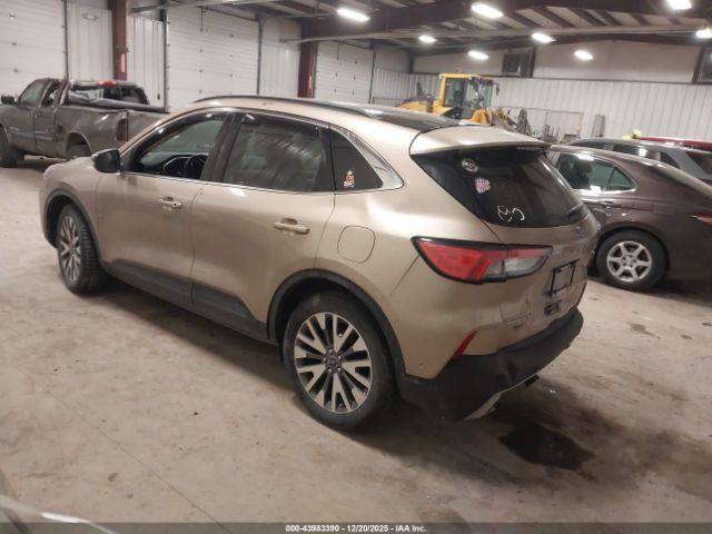 Ford Escape Titanium Image 8