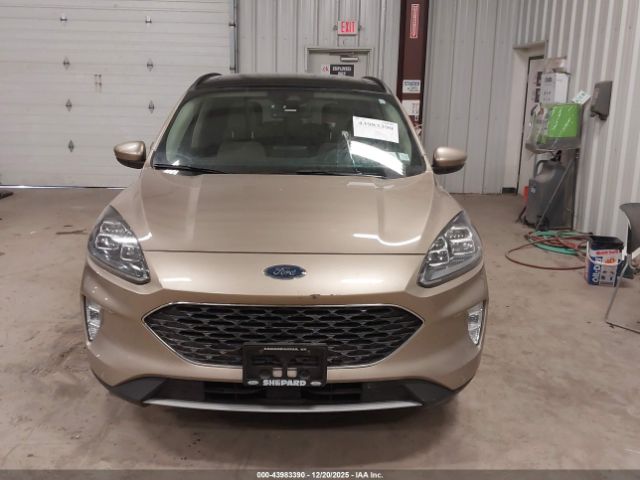 Ford Escape Titanium Image 6