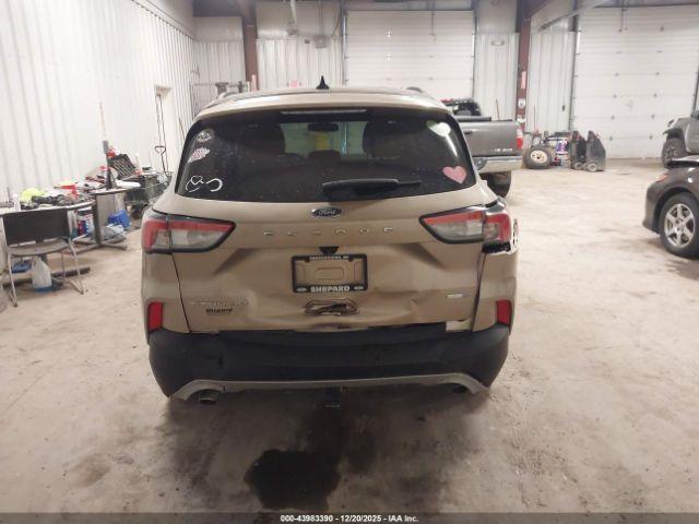 Ford Escape Titanium Image 13