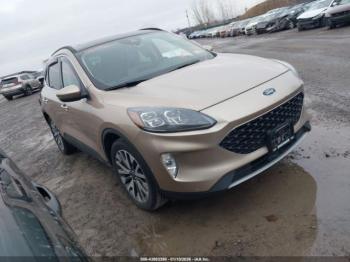  Salvage Ford Escape