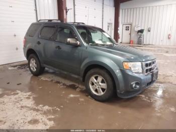  Salvage Ford Escape