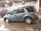 Ford Escape Xlt Image 12