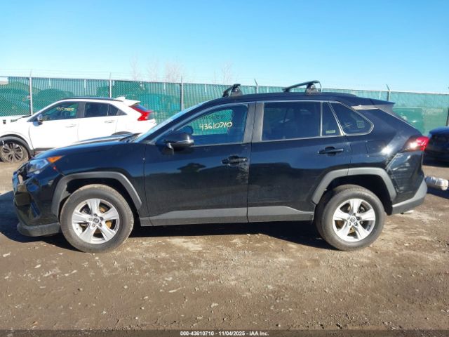 Toyota RAV4 Xle Image 7